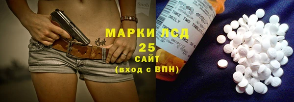 гидра Коряжма