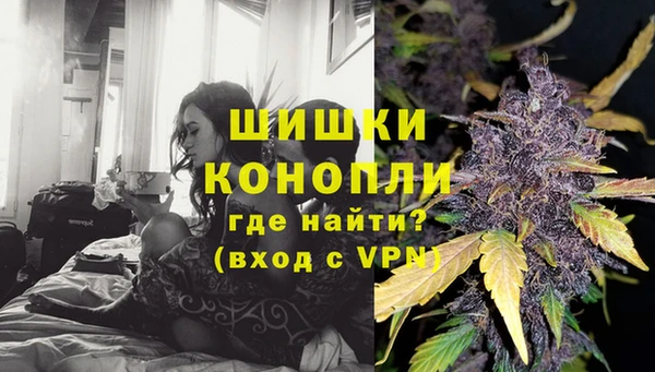 гидра Коряжма