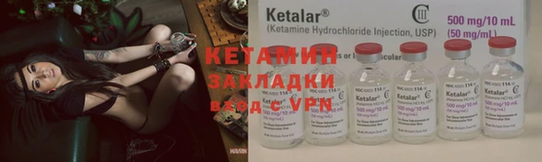 гидра Коряжма