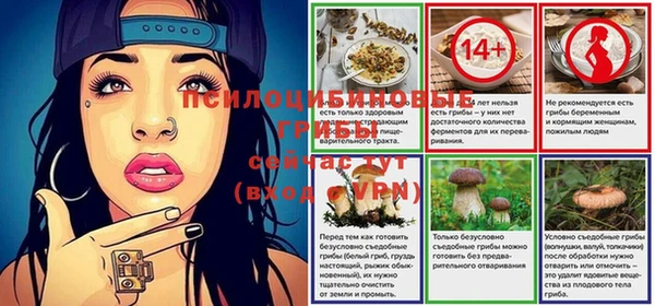 гидра Коряжма
