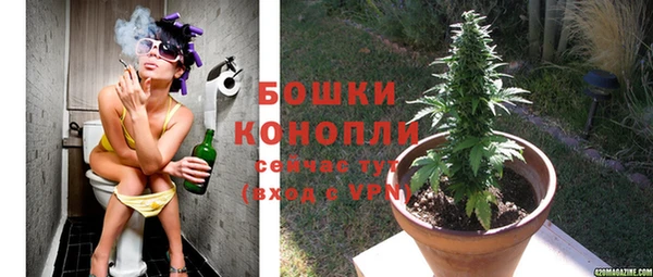 гидра Коряжма