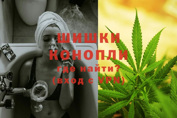 гидра Коряжма