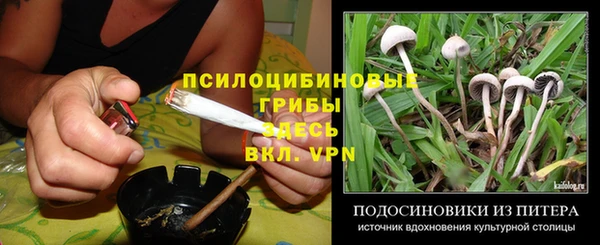 гидра Коряжма