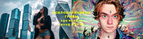 гидра Коряжма