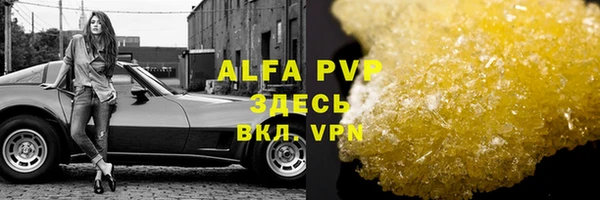 гидра Коряжма