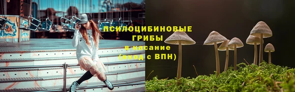 гидра Коряжма